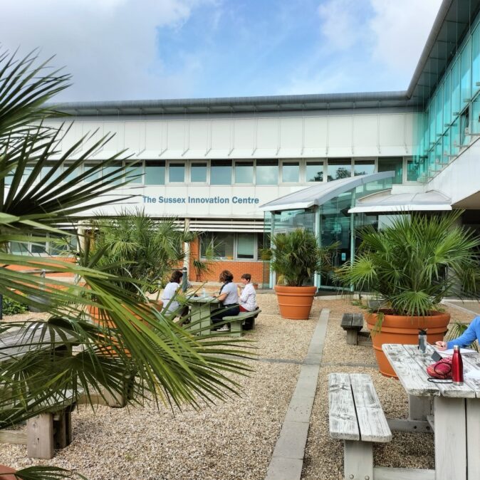 Falmer Terrace